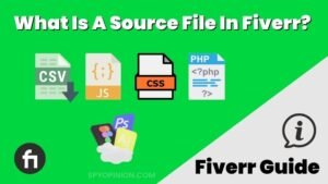 Image showcasing What Is A Source File In Fiverr? - Spy Opinion