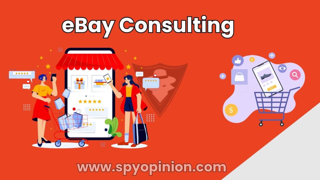 eBay Consulting
